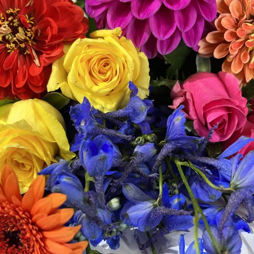 florist-choice-bright
