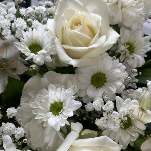 florist-choice-white-green